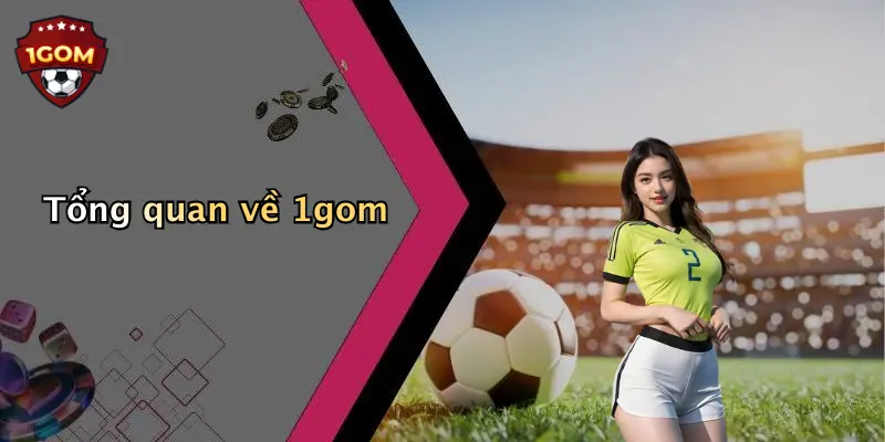 Tổng quan về 1gom